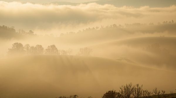 La densité du brouillard : un atout pour protéger vos biens